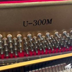Đàn Piano Cơ Elington U300M 1 U-300M