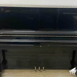Đàn Piano Cơ Wagner W1 1 W1
