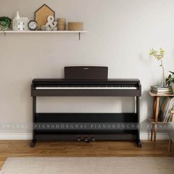 Đàn Piano Điện Yamaha YDP-105 1 Yamaha YDP105R