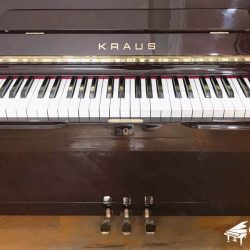 dan-piano-kraus-u130