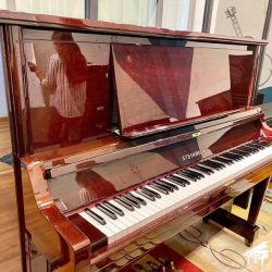 Đàn Piano Cơ Steinrich S18 2 steinrich-s18