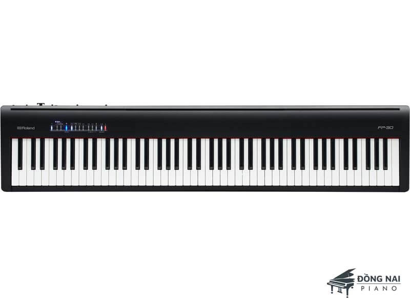 FP-30BK