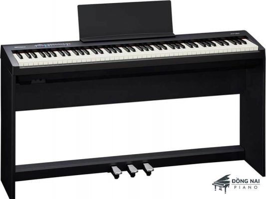 FP-30_BK