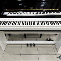 PIANO-DIEN-ROLAND-FP30