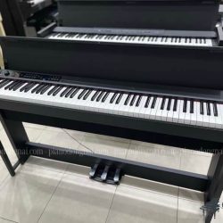 dan-piano-korg-c1