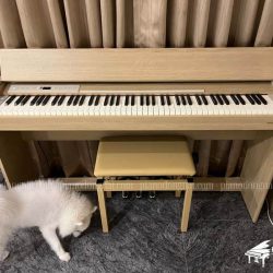 Đàn Piano Điện Roland F701 2 roland-f-701