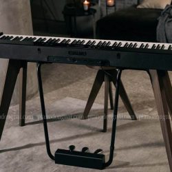 Đàn Piano Điện Casio PX-S7000 2 Đàn Piano Casio PX-S7000