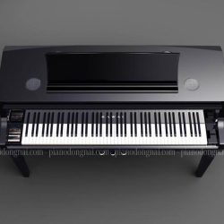 Kawai-Novus-NV10