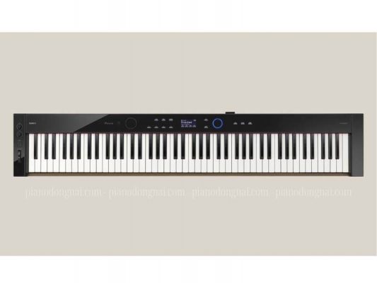 PX-S6000_1