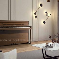 dan-piano-dien-kawai-ca901-nw