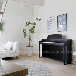 Đàn Piano Điện Kawai CN301 1 dan-piano-dien-kawai-cn-301
