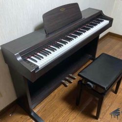 dan-piano-dien-kawai-pn2