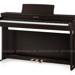 kawai-cn201-r
