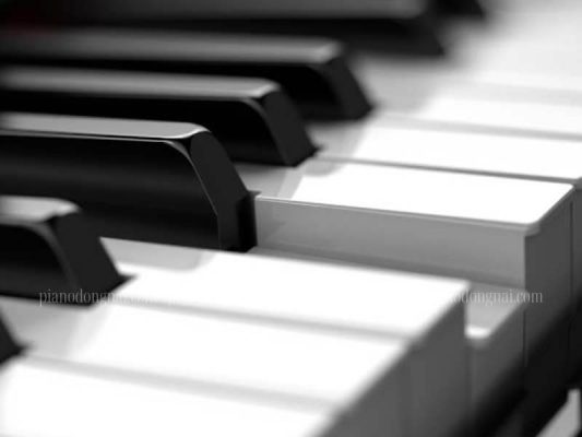 phim-dan-piano