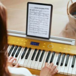 Đàn Piano Điện Casio PX-S7000 5 piano-casio-px-s7000