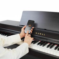 piano-dien-kawai-cn201