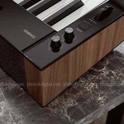 Đàn Piano Điện Casio PX-S6000 3 px-s6000