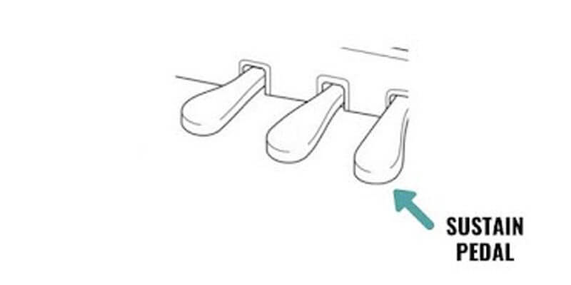 Sustain -Damper-pedal