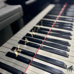 Đàn Piano Cơ Kawai XO-8 5 dan-piano-kawai-xo-8