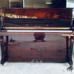 dan-piano-co-gold-star-120-g