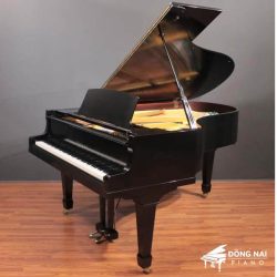 dan-piano-co-yamaha-g5e