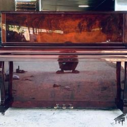 dan-piano-gold-star-120-g