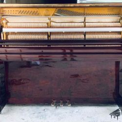 piano-co-gold-star-120-g