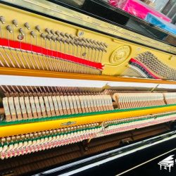 Đàn Piano Cơ APOLLO RU385E 3 apollo-ru385e