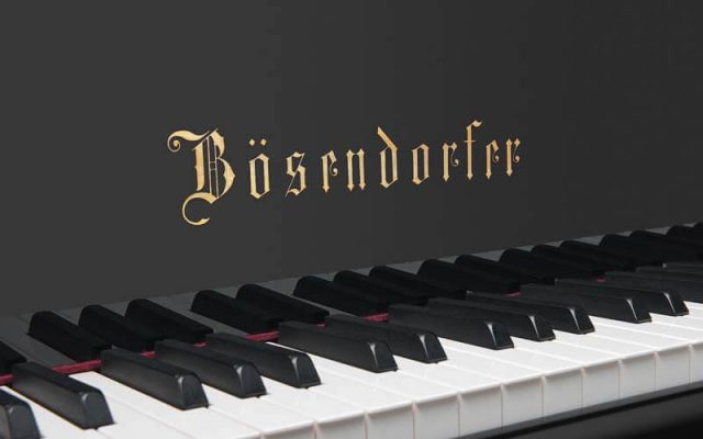 dan-piano-co-Bösendorfer