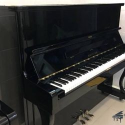 dan-piano-co-atlas-meister-me38