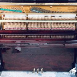 dan-piano-co-nobel-nu200