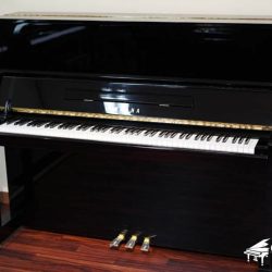 dan-piano-co-yamaha-mc301