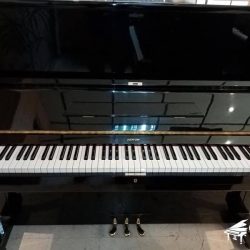 dan-piano-co-zenon-uz-24