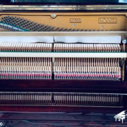 piano-co-nhat-ban-nobel-nu200