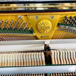 dan-piano-co-nhat-ban-emperor