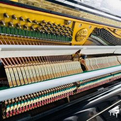 dan-piano-upright-emperor