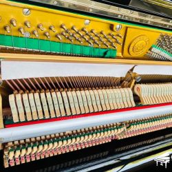 Đàn Piano Cơ Horugel U5 4 dan-piano-upright-horugel-u5