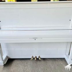 Đàn Piano Cơ Fritz Kuhla Special No20 1 fritz-kuhla-20