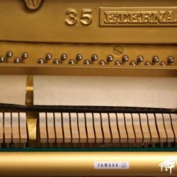 Đàn Piano Cơ Eterna 35 1 piano-co-cu-eterna-35