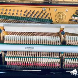 piano-co-cu-nhat-ban-diapason-126m