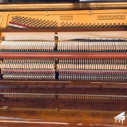 Đàn Piano Cơ Fritz Kuhla Special No30 2 piano-co-fritzkuhla-no30