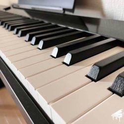 dan-piano-casio-px-s1000