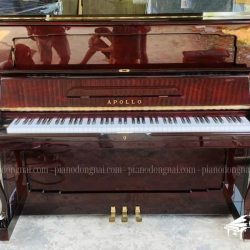 dan-piano-co-apollo-a310s