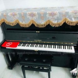 dan-piano-co-kaiser-35
