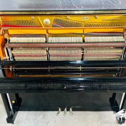 dan-piano-co-schweizer-stein-hu200