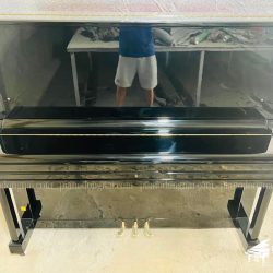 dan-piano-co-schweizerstein-hu200