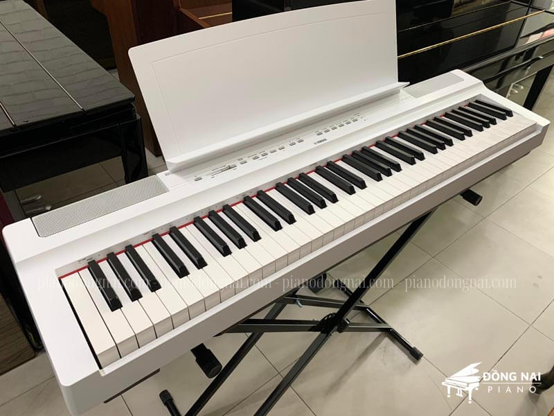 Đàn Piano điện tử cuộn | Tìm mua Đàn Piano điện tử cuộn tại  prettycosmetics.vn
