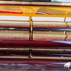 dan-piano-nhat-ban-apollo-a310s