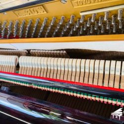 piano-co-cu-apollo-a310s