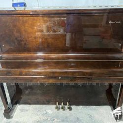 piano-co-cu-nhat-ban-rolex-kr30